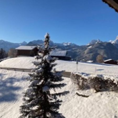 Chalet Soldanella 10 Guests Gstaad Kültér fotó
