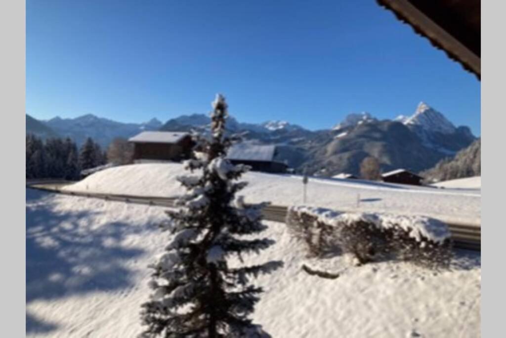 Chalet Soldanella 10 Guests Gstaad Kültér fotó
