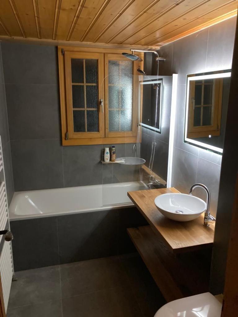 Chalet Soldanella 10 Guests Gstaad Kültér fotó